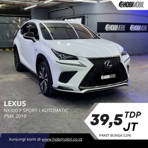 Lexus NX300 2018