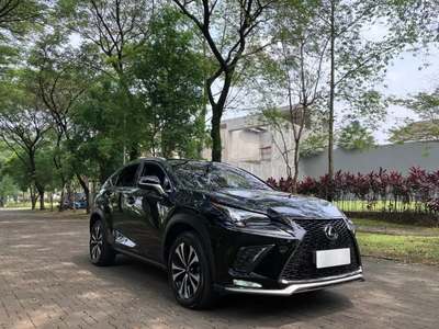 Lexus NX300 2020