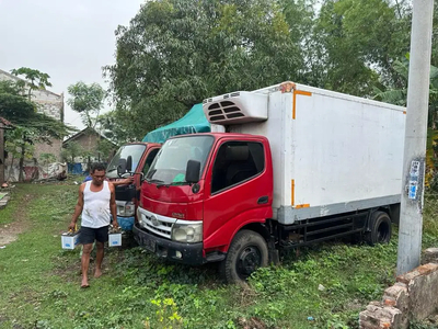 Toyota Dyna 2010