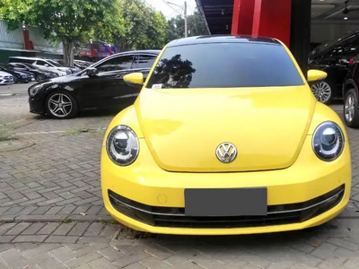 Volkswagen Beetle 2014