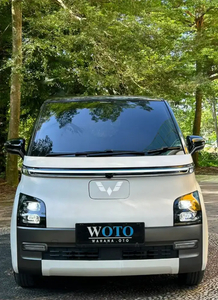 Wuling Air EV 2022