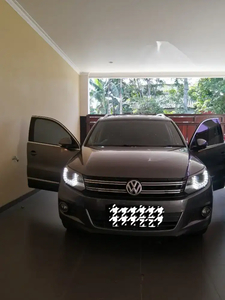 Volkswagen Tiguan 2014