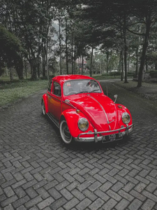 Volkswagen Beetle 1985