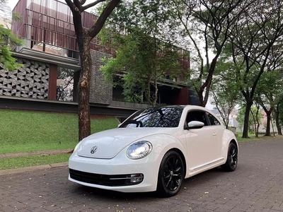 Volkswagen Beetle 2014