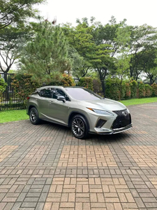 Lexus RX300 2020