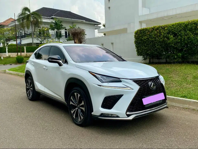 Lexus NX300 2021