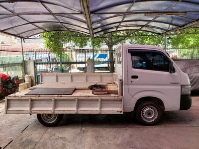 Suzuki Carry 2021