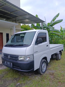 Suzuki Carry Pick-up 2019