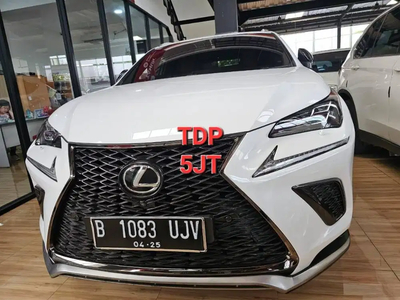 Lexus NX300 2019