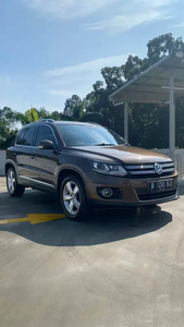 Volkswagen Tiguan 2013