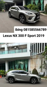 Lexus NX300 2019