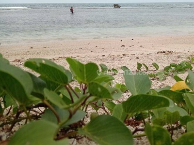 Murah Tanah Pantai Carita Super Bagus Cocok Bangun Resort Mewah