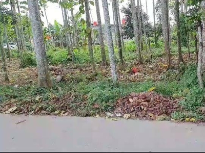 Tanah Kebun Cocok Untuk Home Industri di Serdang Wetan