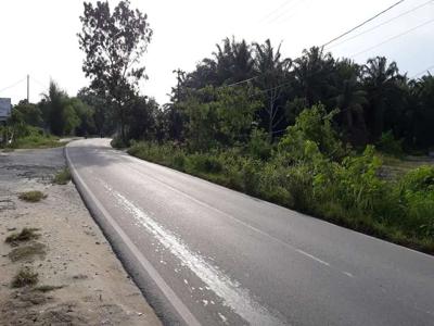 Tanah disewakan jl lintas timur km 16 kulim kota Pekanbaru
