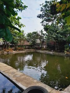 Dijual tanah kolam pemancingan luas 523m² SHM