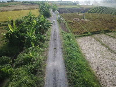 Kavling luas 300m2 di Pantai Pasut