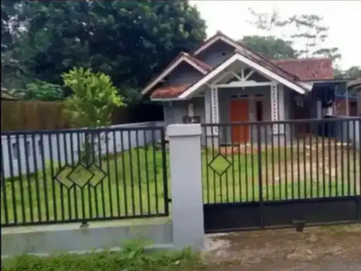 Rumah 280 m2 Jabong jalan cagak Subang