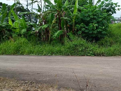 Tanah Di Kemiling Luas 525m Shm Akses Jalan Aspal