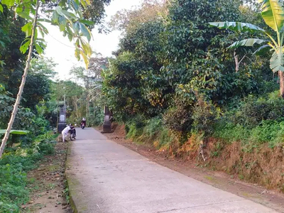 Tanah Kebun Pemandangan Sawah Dijual Murah di Wanayasa Purwakarta