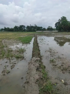 JUAL SAWAH PROGRESIF