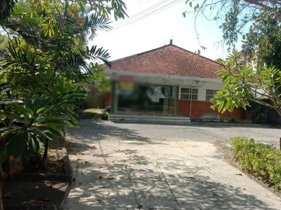 Rumah Lokasi Bagus Halaman Luas Disewakan, area Denpasar Selatan