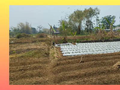 Tanah Joyoagung Malang Harga Terjangkau dekat Kampus UMM