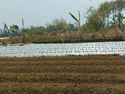 Tanah Kota Malang, Harga Murah, Dalam Kawasan Perumahan