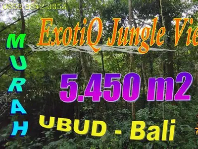 Dijual Murah ( Under Market Price ) 5,450 m2 di Pejeng Kaja