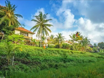 Resort 16 Villa Ubud, Bali dilokasi persawahan