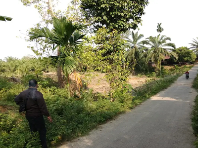 Tanah murah pinggir jalan Dusun I Teluk Bayur Desa Tanjung gelumpang k