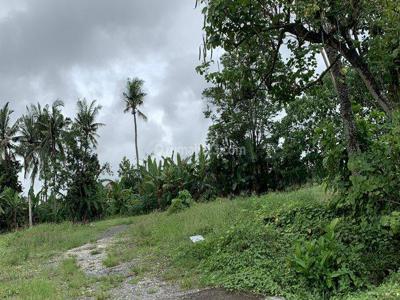 Land for Long Lease at Tumbak Bayuh Canggu
