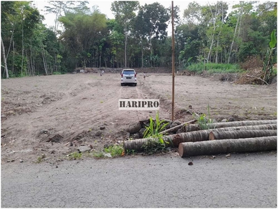 Dijual Tanah Manisrenggo Klaten, Dekat Candi Prambanan, SHM P