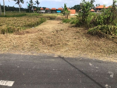 dijual tanah zona kuning di dekat ubud luas 400m²