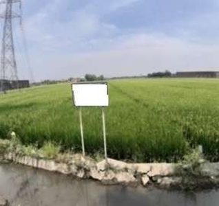 Legundi ancer 5 - Sawah Di Jual