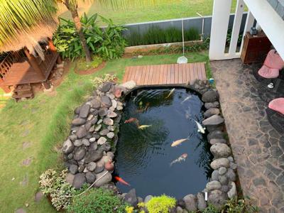 Rumah Mewah Bsd Depark Brassia Asri Ada Koi Pond