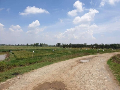 Tanah Cocok Untuk Tambak, Perkebunan Di Harapan Jaya Bekasi S6423