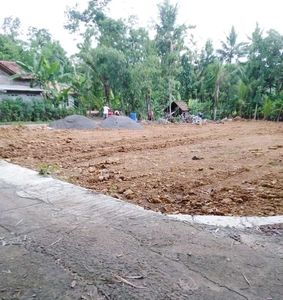 Tanah kavling di gedangan Kulonprogo 100 jita nego