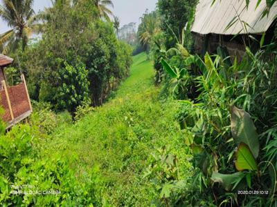 Tanah kebun murah dan luas di Mendalanwangi Wagir Malang