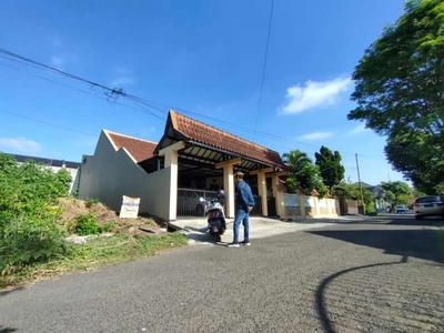 Tanah kos bunga Sansivera dekat Suhat malang