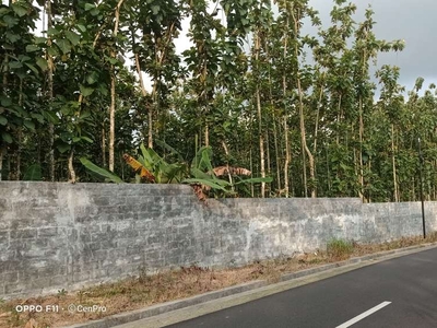 Tanah kosong 5445 m bonus 550 pohon jati pinggir jalan utama Sumbang