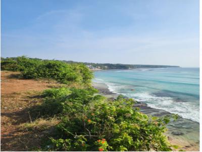 tanah loss tebing laut pecatu