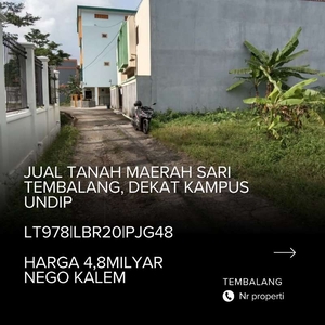 tanah maerah sari, dekat kampus undip