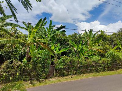 Tanah murah dekat jalan raya Denpasar - Gilimanuk