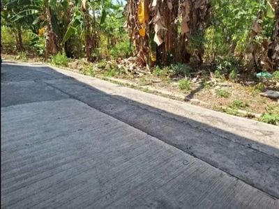 Tanah Tembalang Bulusan Dekat Undip Tembalang