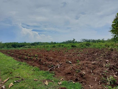 Tanah zona industri dijual solo Sukoharjo surakarta 5 ha