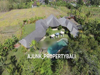 Vila Resort Style, View Jungle & Los Sungai, di Nyanyi Tabanan