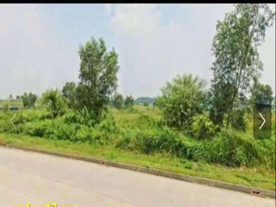 Dijual Tanah Kavling Kawasan Industri Delta Silicon 3 Lippo Cikarang