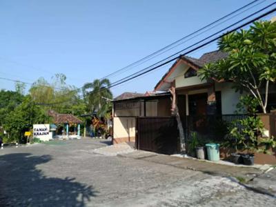 Homestay Dekat SD Model Sleman Jogja