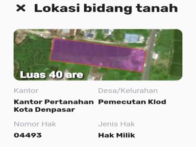 Tanah Pura Demak Utama Cocok buat RUko Gudang Denpasar Mr Neo