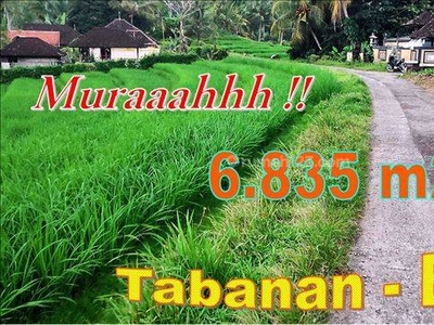 Dijual Nett Tanah 68.35 Are Lokasi Selemadeg Barat